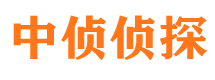 滴道市场调查